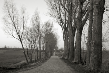 Anke-Hirsch-Fotografie (15)