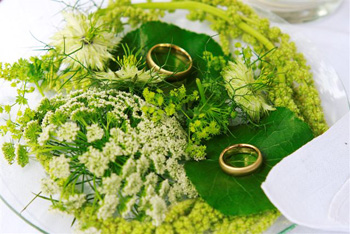 Anke-Hirsch-Fotografie (51)