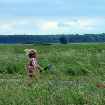 Anke-Hirsch-Fotografie (71)